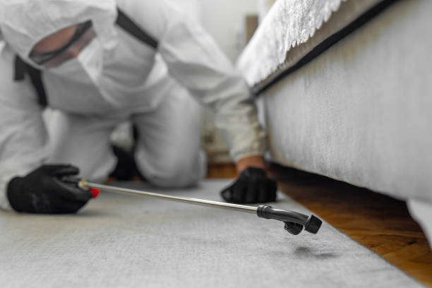 Professional Termite Control technician working in Hamilton, AL