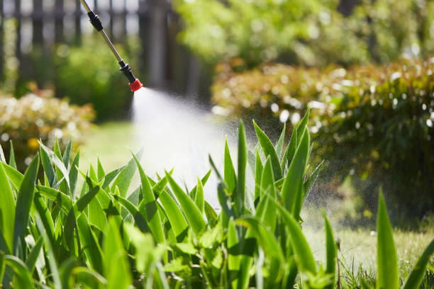 24/7 Emergency Termite Control experts in Hamilton, AL