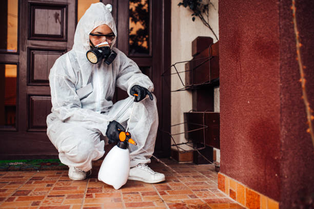 Reliable Termite Control contractor in Hamilton, AL by Nex Pest Control
