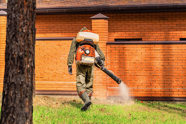 Top rated local Termite Control specialists in Hamilton, AL